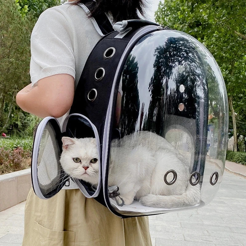 Clear Pet Carrier Backpack – For Cats & Small Dogs