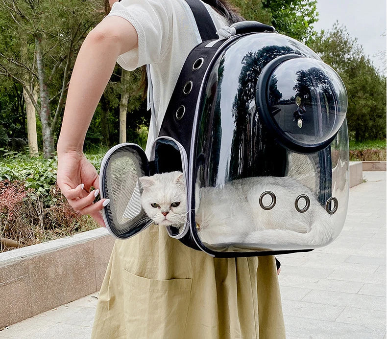 Clear Pet Carrier Backpack – For Cats & Small Dogs
