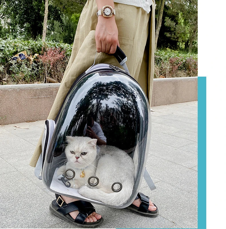 Clear Pet Carrier Backpack – For Cats & Small Dogs