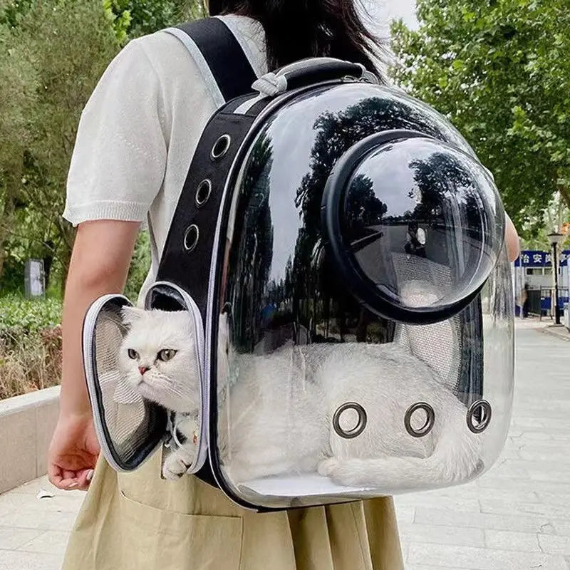 Clear Pet Carrier Backpack – For Cats & Small Dogs