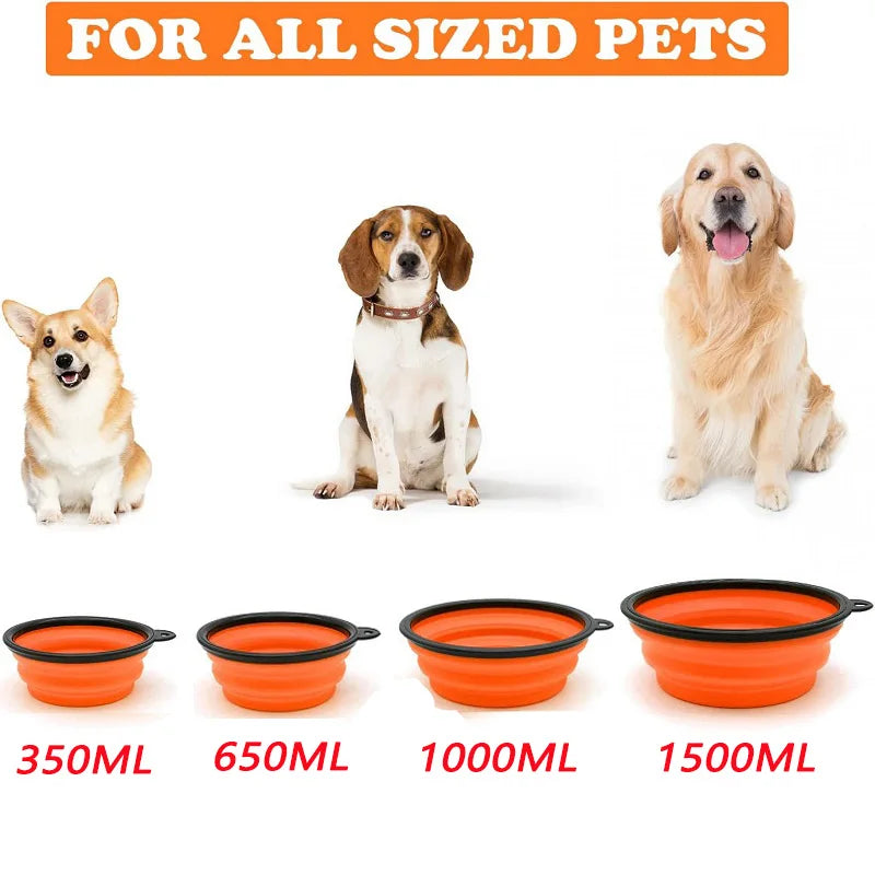 Travel Dog & Cat Bowl – Folding 2-in-1 Feeder