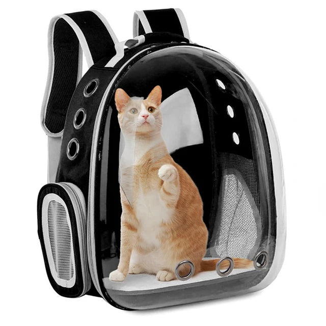Clear Pet Carrier Backpack – For Cats & Small Dogs