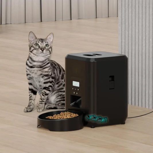Smart Cat & Dog Feeder