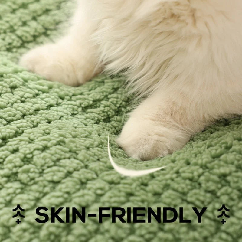 Cute Frog Pet Bed – Warm Winter Nest for Cats & Dogs