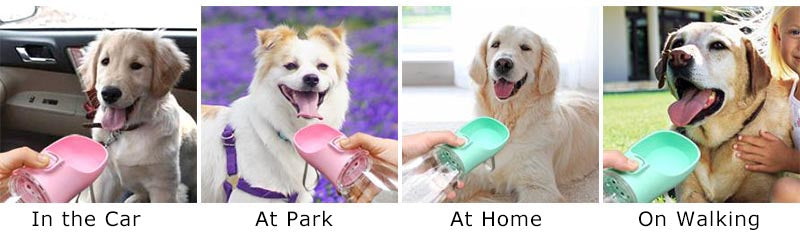 Portable Water Bottle for Dogs & Cats