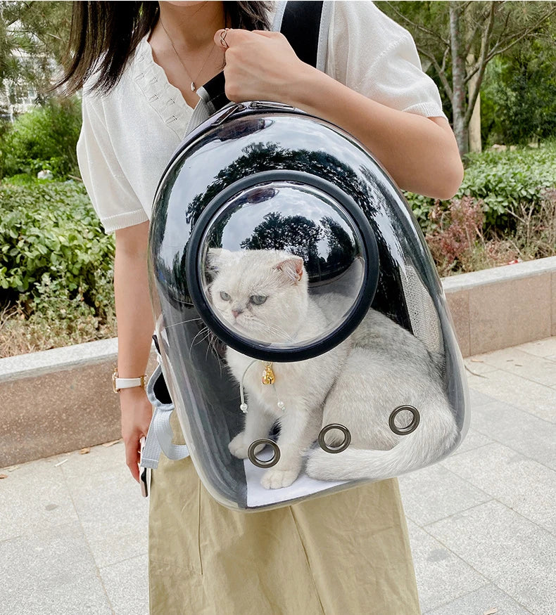 Clear Pet Carrier Backpack – For Cats & Small Dogs