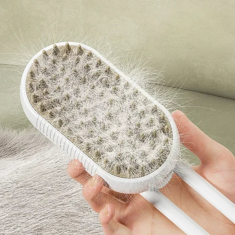 2pcs Pet Steamy Brush & Hair Remover