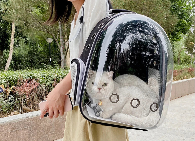 Clear Pet Carrier Backpack – For Cats & Small Dogs