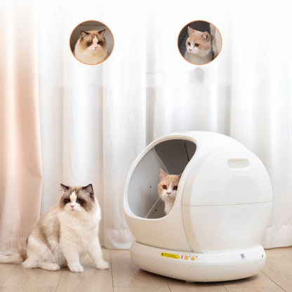 Fully Automatic Cat Litter Box