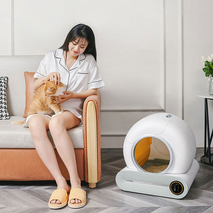 Intelligent Cat Litter