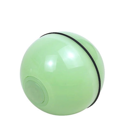 LED Laser Electronic Rolling Pet