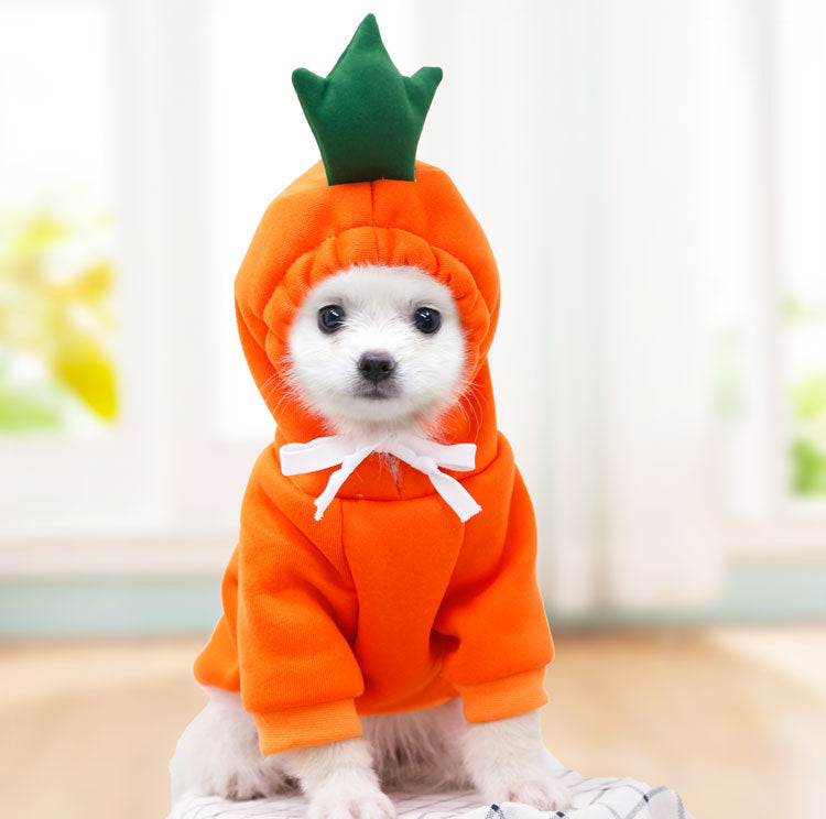 Cute Fruit Dog Clothes For Small Dogs Hoodies Winter