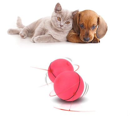 LED Laser Electronic Rolling Pet