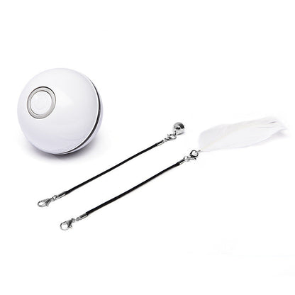 LED Laser Electronic Rolling Pet