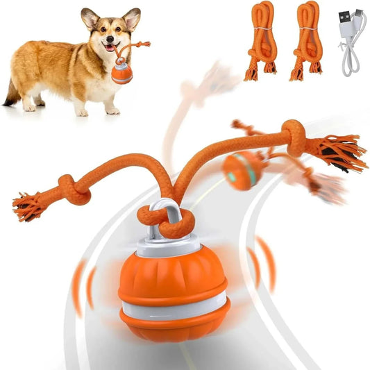 Interactive USB rechargeable pet ball for dogs in bright colors