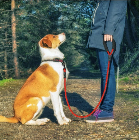 Heavy-Duty Reflective Dog Leash Rope for Dogs of All Sizes