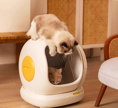 Fully Automatic Cat Litter Box