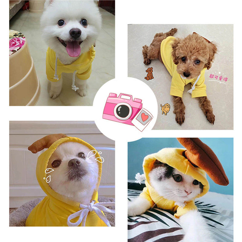 Cute Fruit Dog Clothes For Small Dogs Hoodies Winter