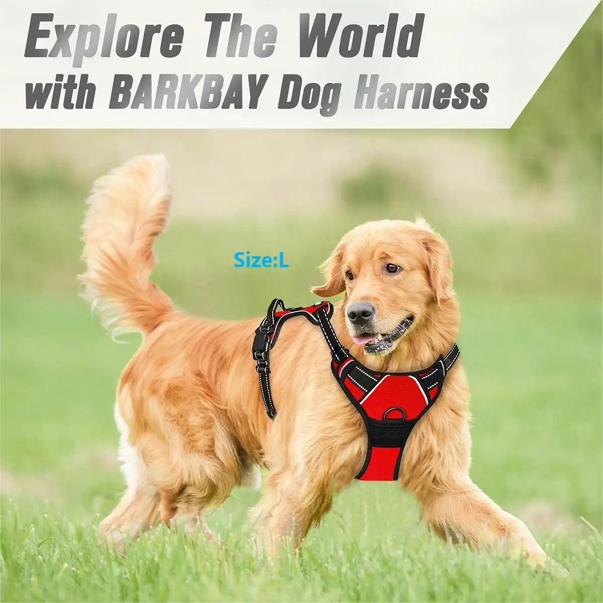 Front-Clip No-Pull Walking Harness Easy-Control Harness for Large Dogs
