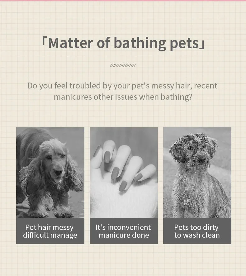 2pcs Pet Steamy Brush & Hair Remover