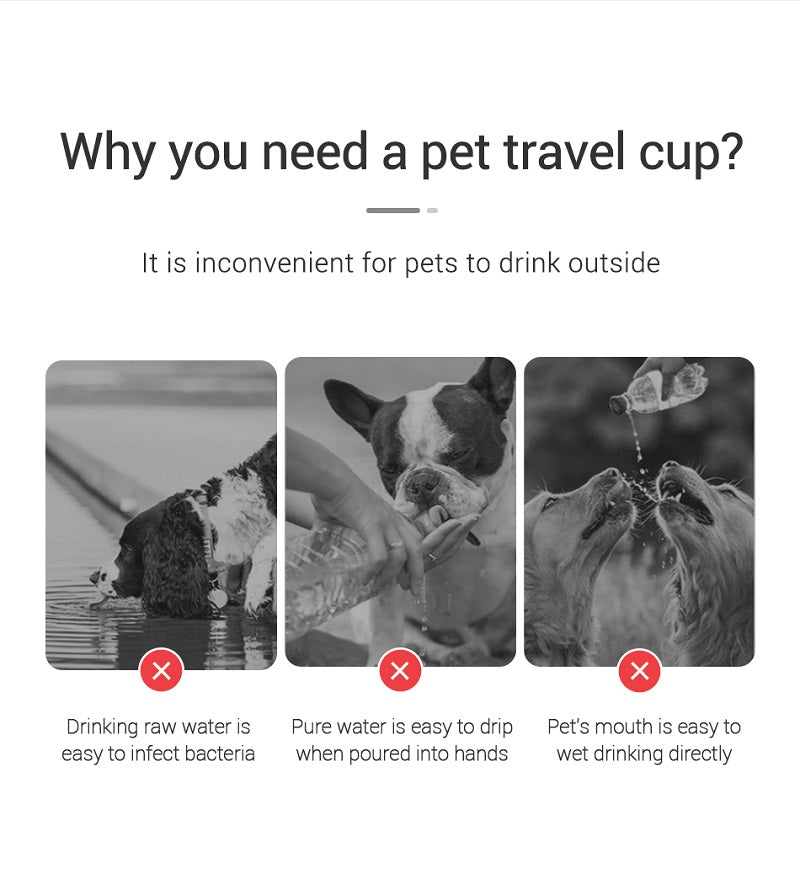 Portable Water Bottle for Dogs & Cats
