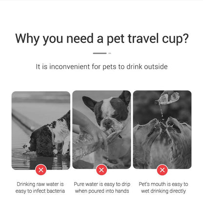 Portable Water Bottle for Dogs & Cats