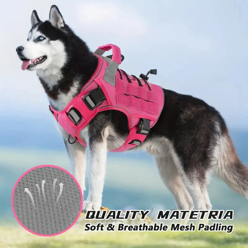 Military-Style Dog Harness