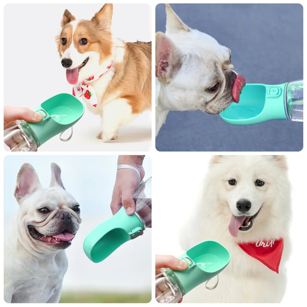 Portable Water Bottle for Dogs & Cats