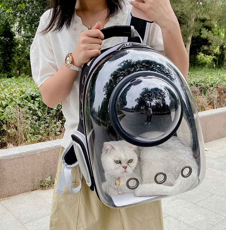 Clear Pet Carrier Backpack – For Cats & Small Dogs