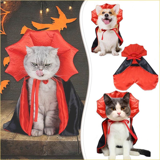 Small dog in cute Halloween pet costume vampire cloak black and red