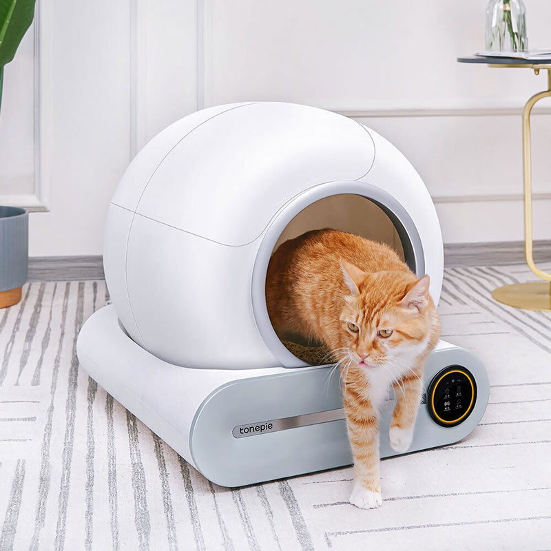 Intelligent Cat Litter